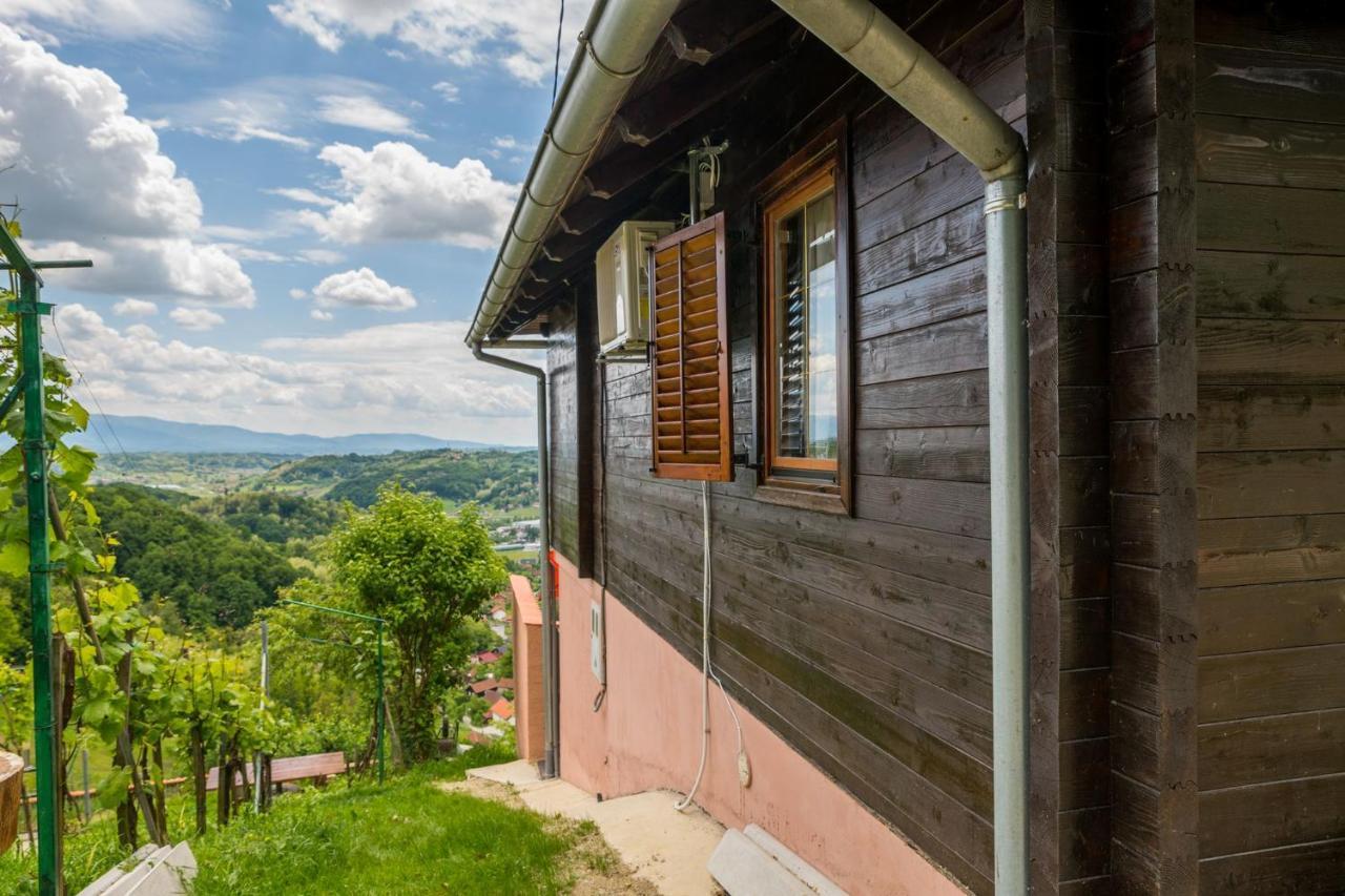 Вилла Hygge Hill Крапинске-Топлице Экстерьер фото
